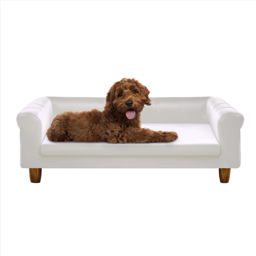 CRITTER SITTERS Pet Beds
