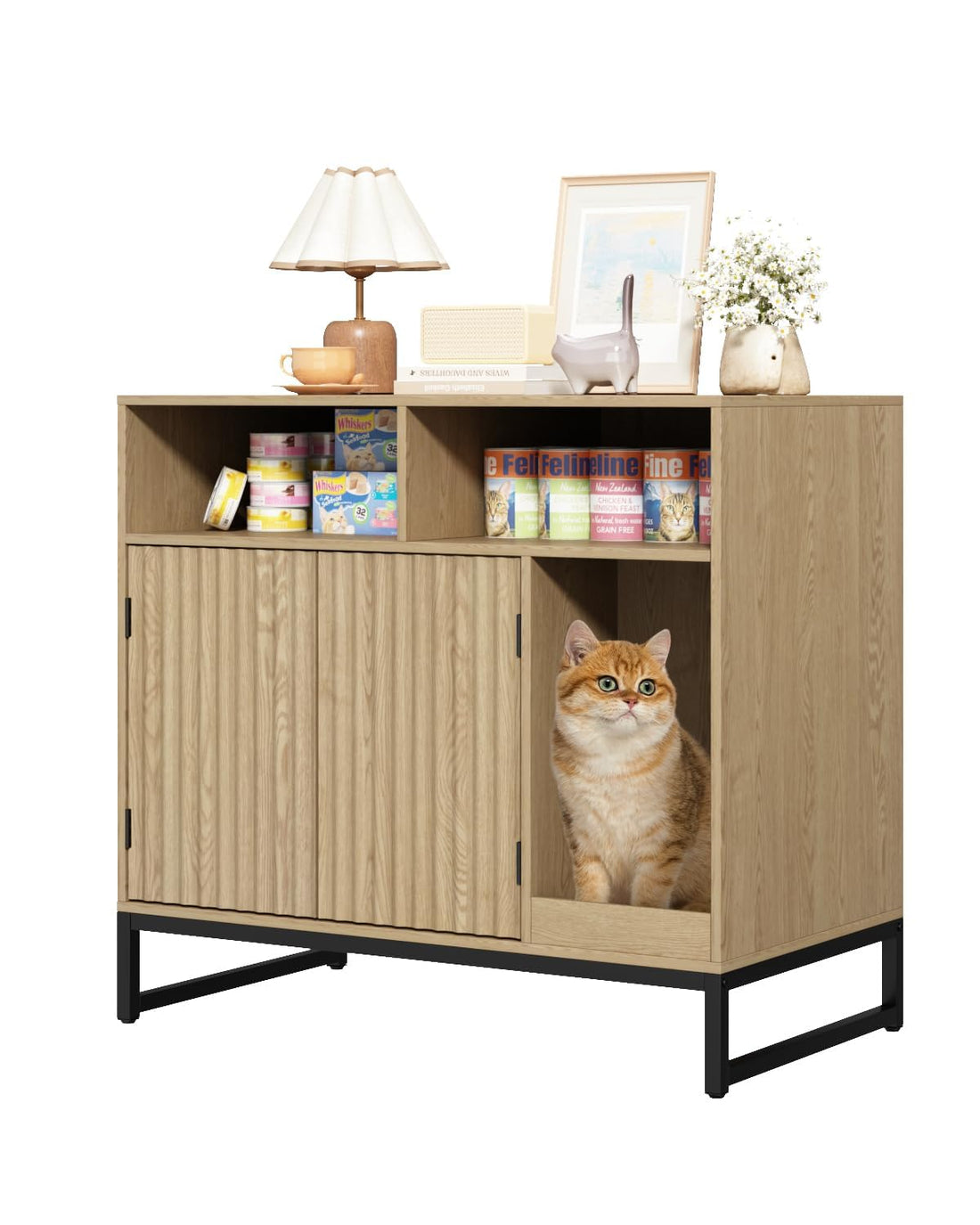 Hidden Cat Litter Box Enclosure