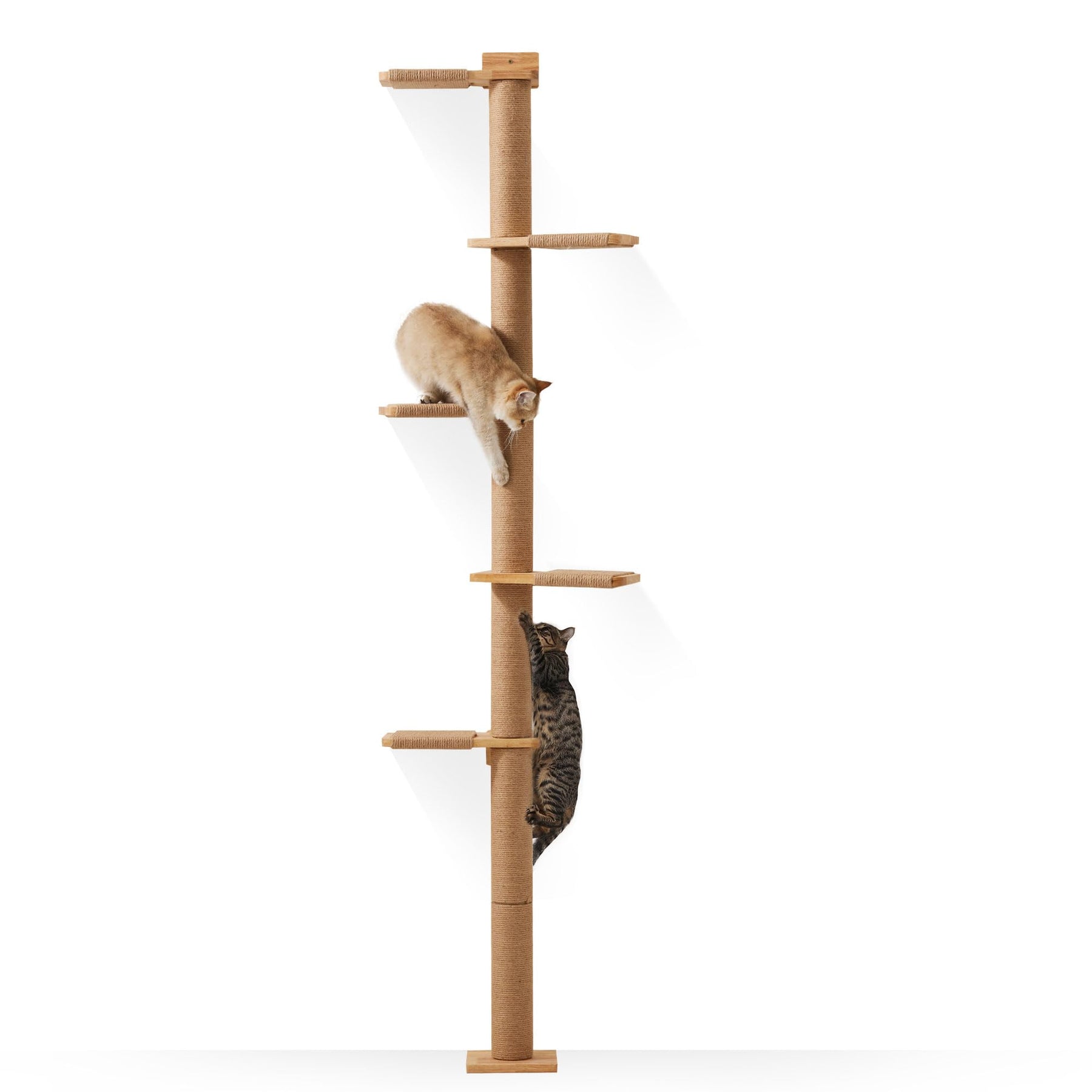 Floor-to-Ceiling Cat Tree Tower