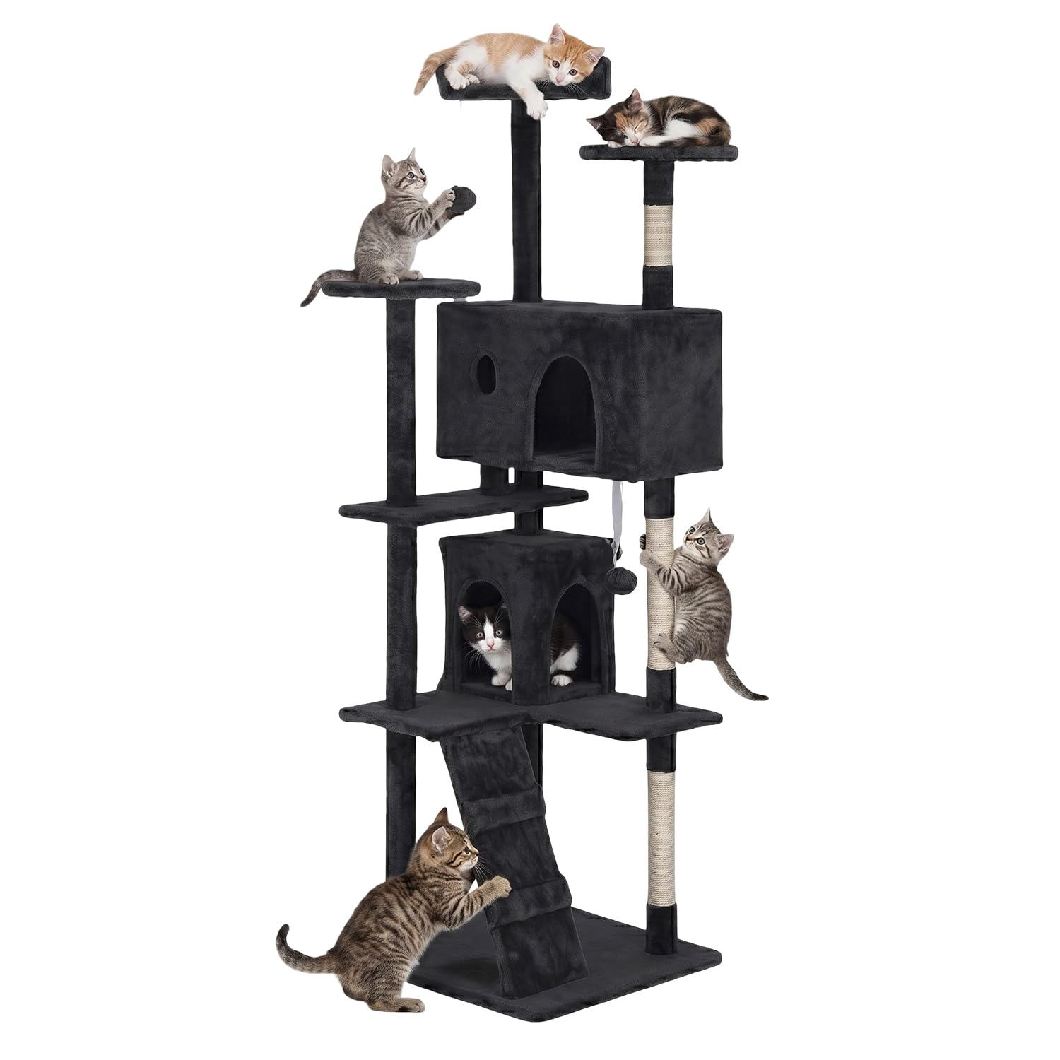 Multi-Level Cat Tree Tower with Condo