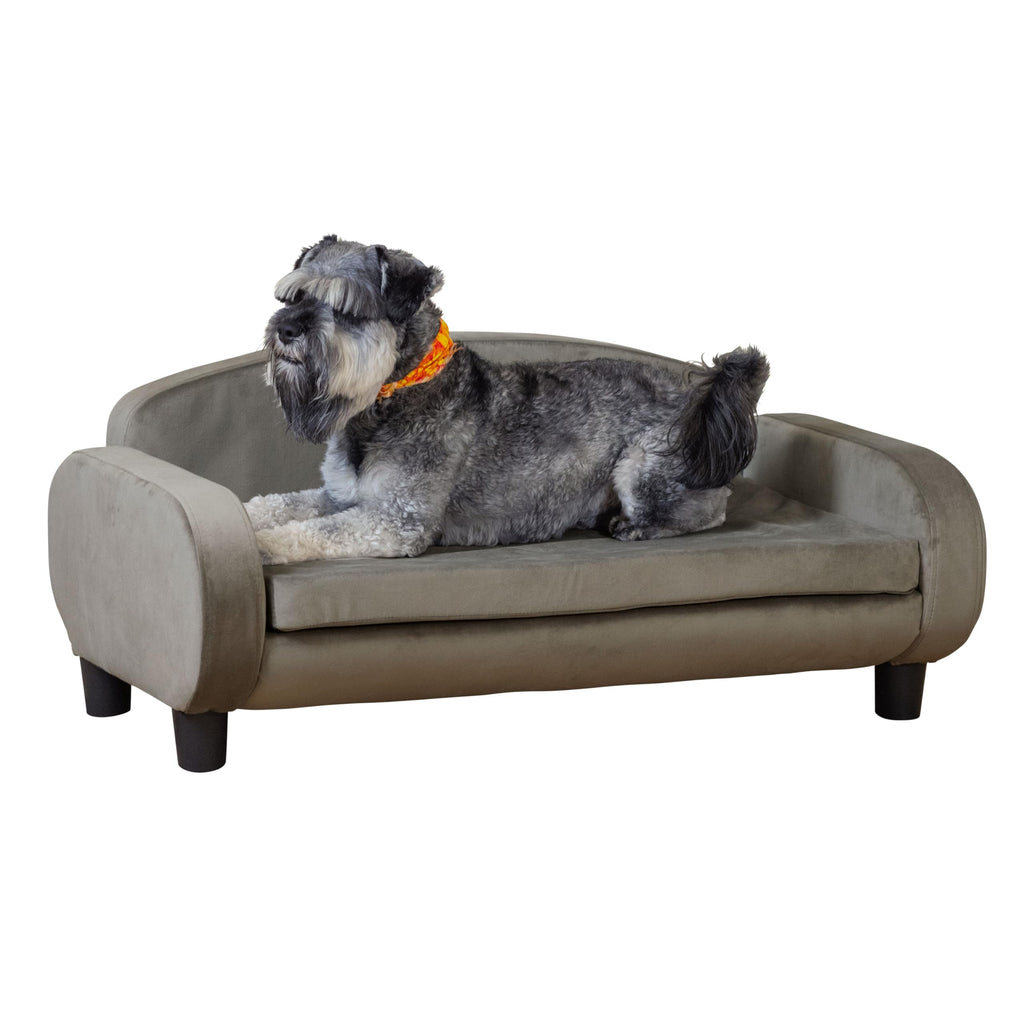 Paws & Purrs Modern Pet Sofa