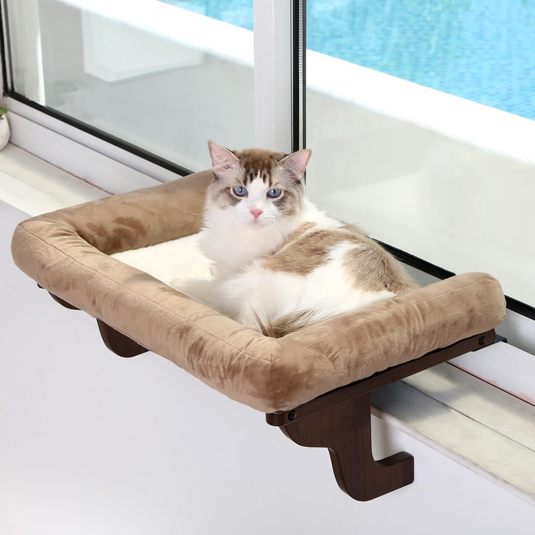 Orthopedic Cat Window Perch