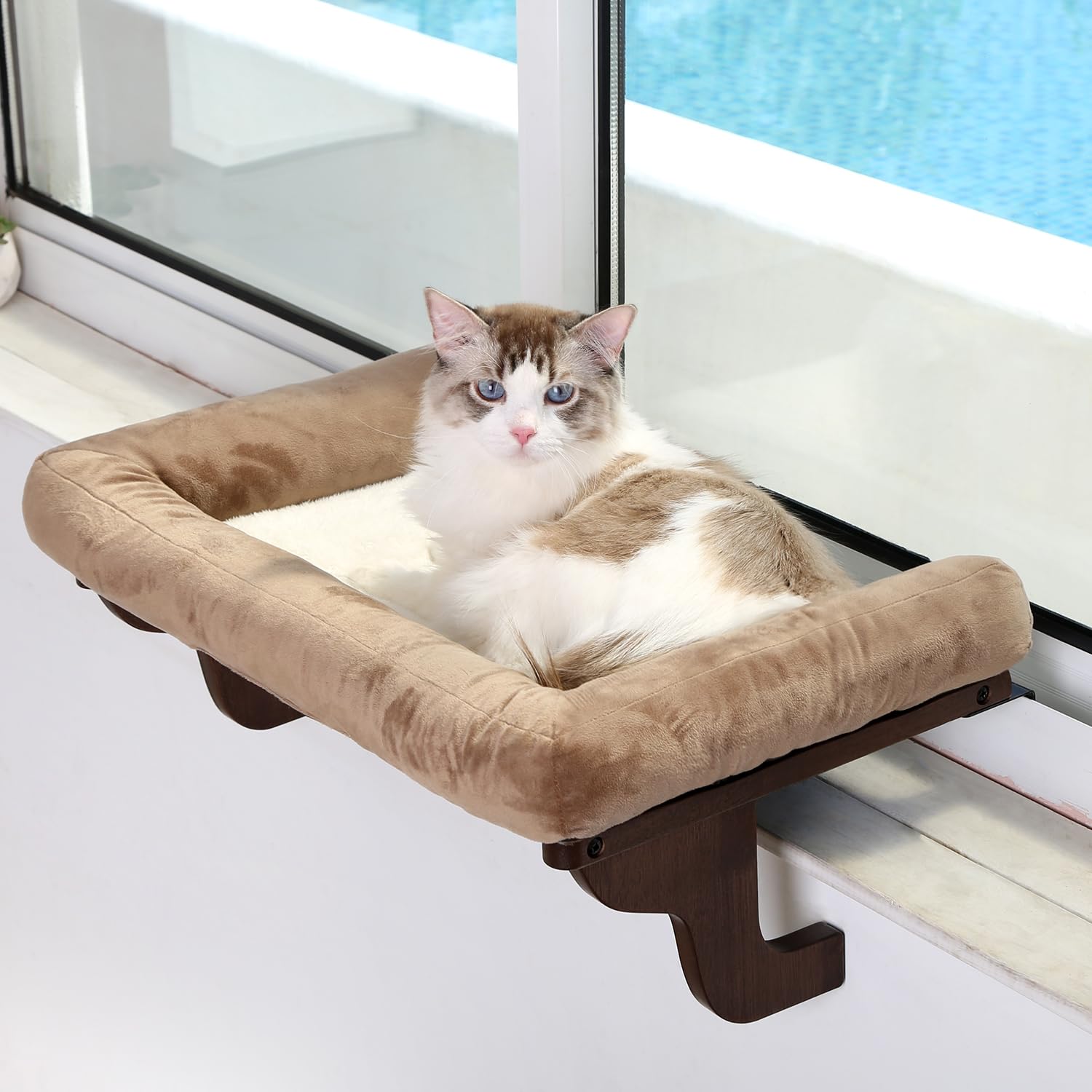 Orthopedic Cat Window Perch