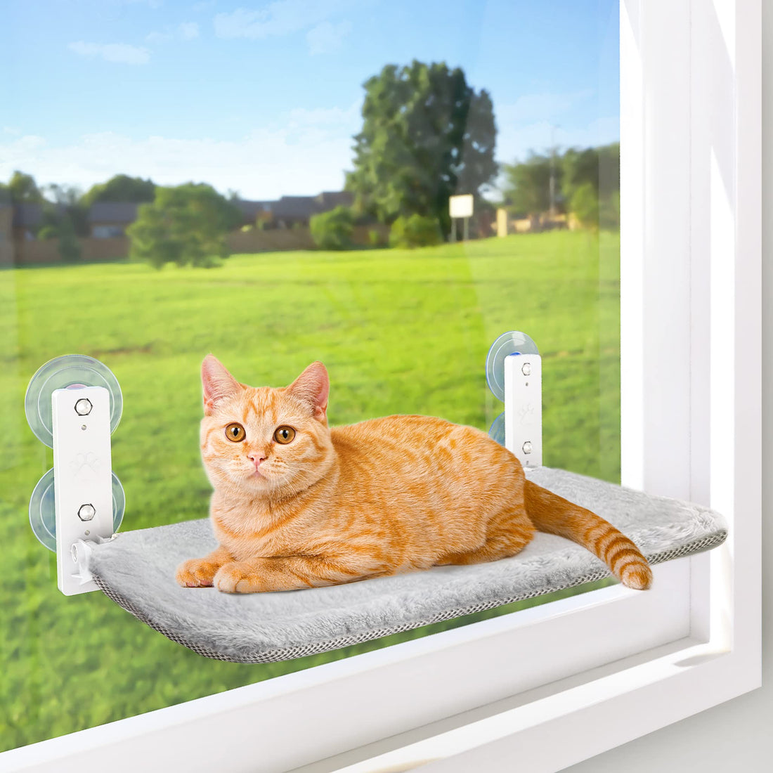 Cordless Cat Window Hammock