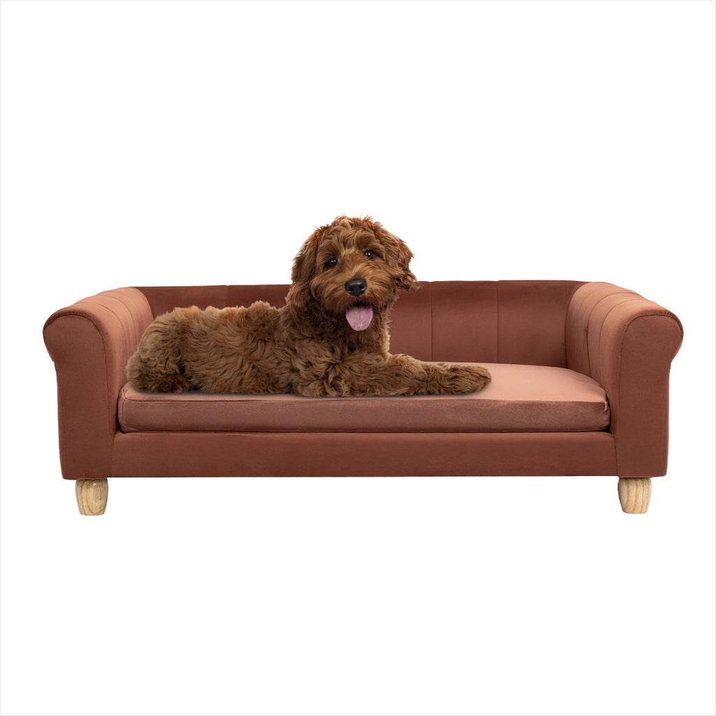 CRITTER SITTERS Pet Beds