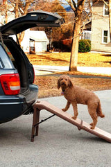 Foldable Pet Ramp for Dogs & Cats