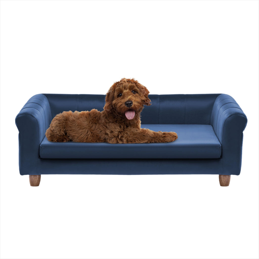 CRITTER SITTERS Pet Beds