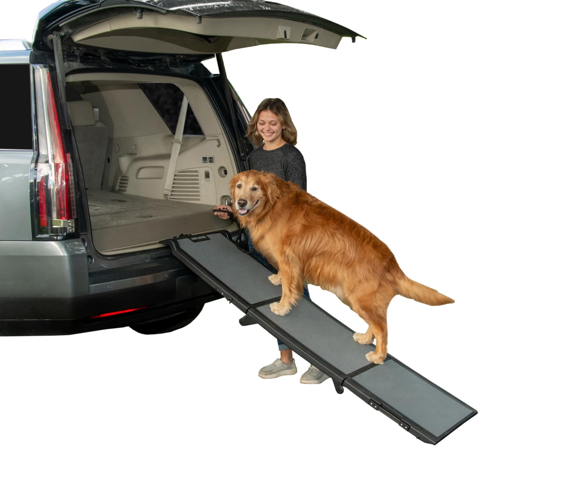 Pet Gear