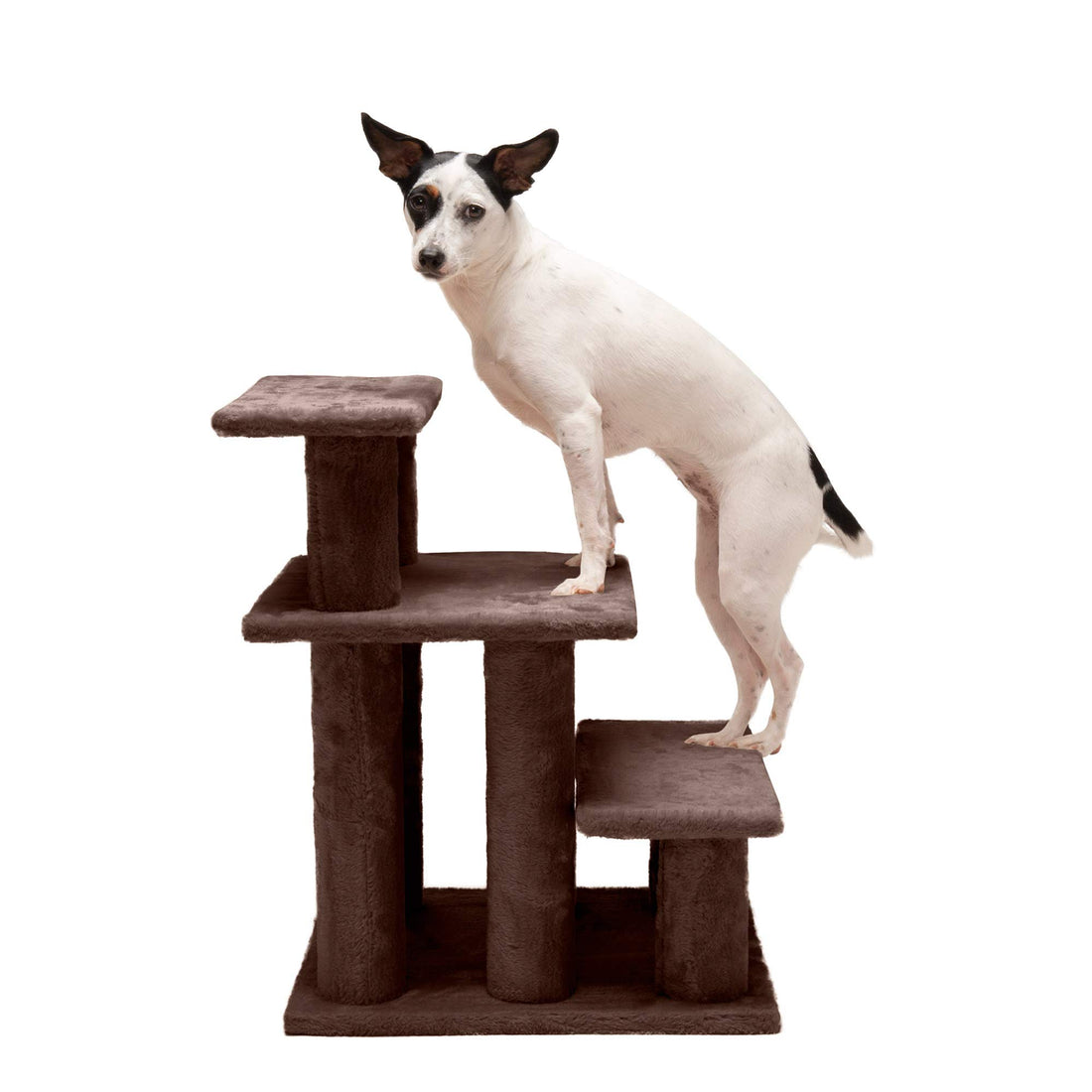 Multi-Step Pet Stairs for Beds & Sofas