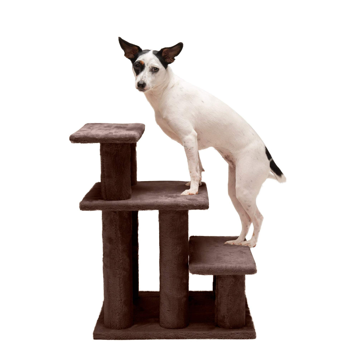 Pet Stairs