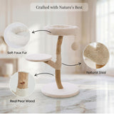 Modern Wood Cat Tree with Bed
