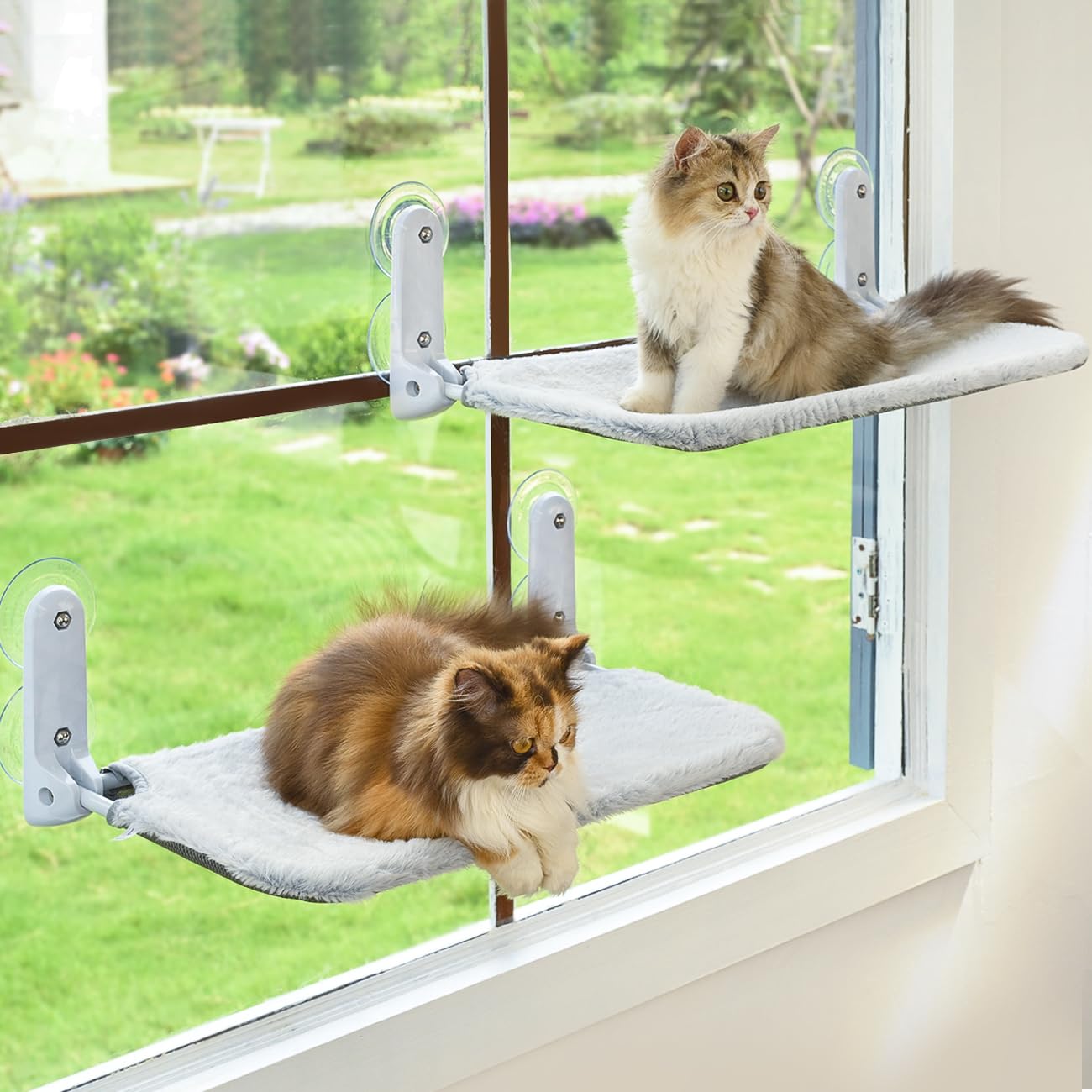 Window Perches