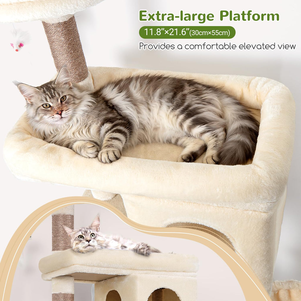 Heavy Duty Cat Tree for Large Cats