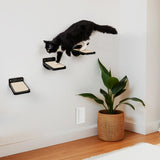 Cat Wall Climbing Steps Set