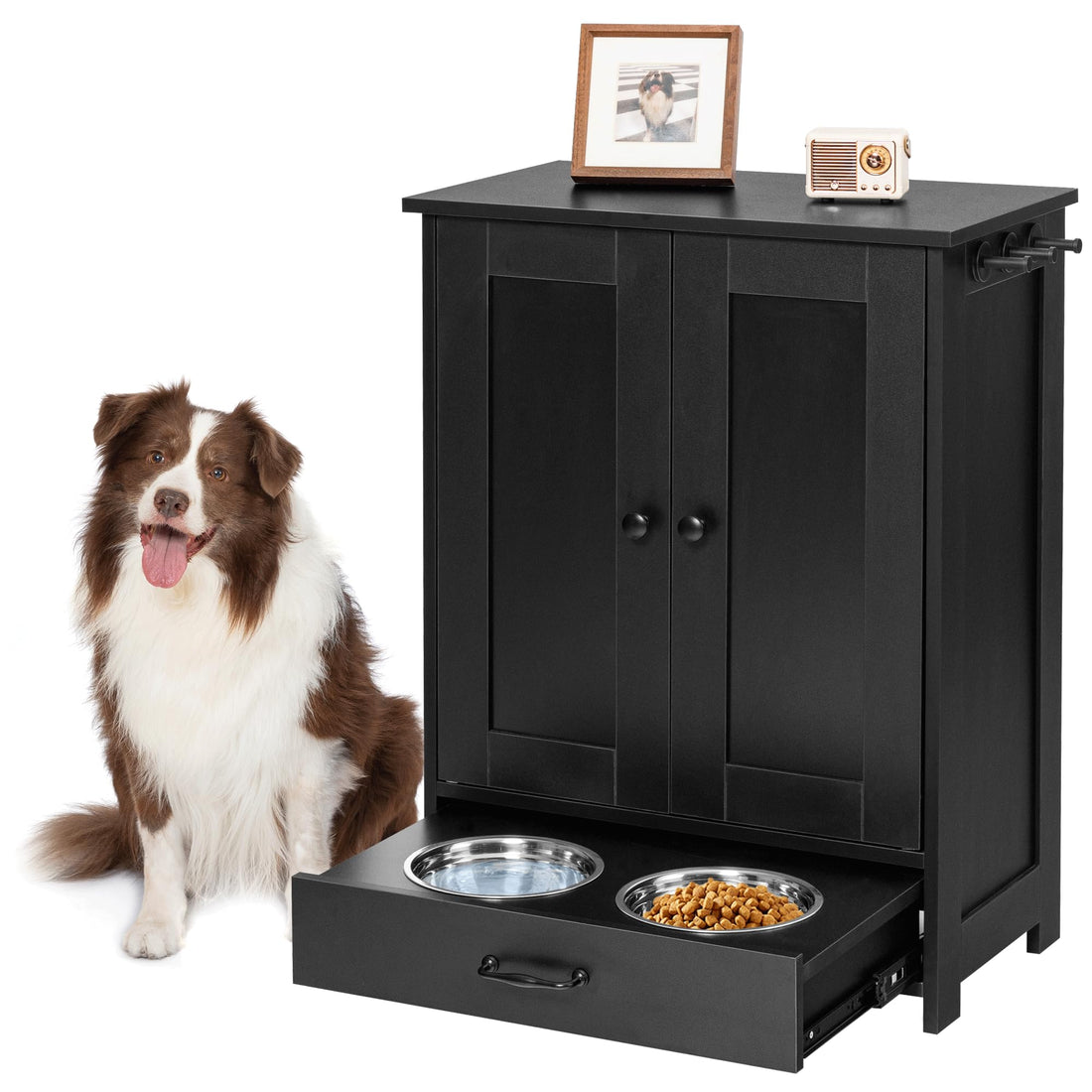 Pet Feeding Station with Storage Cabinet