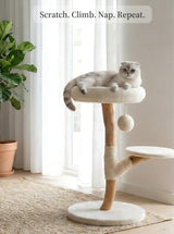 Modern Wood Cat Tree with Bed