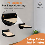 Cat Wall Climbing Steps Set