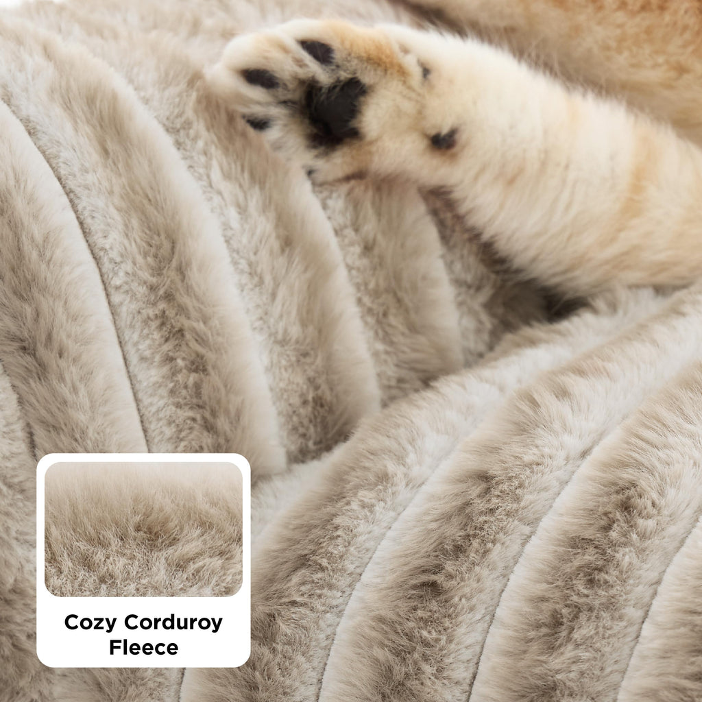 Fluffy Pet Couch Bed with Washable Cover