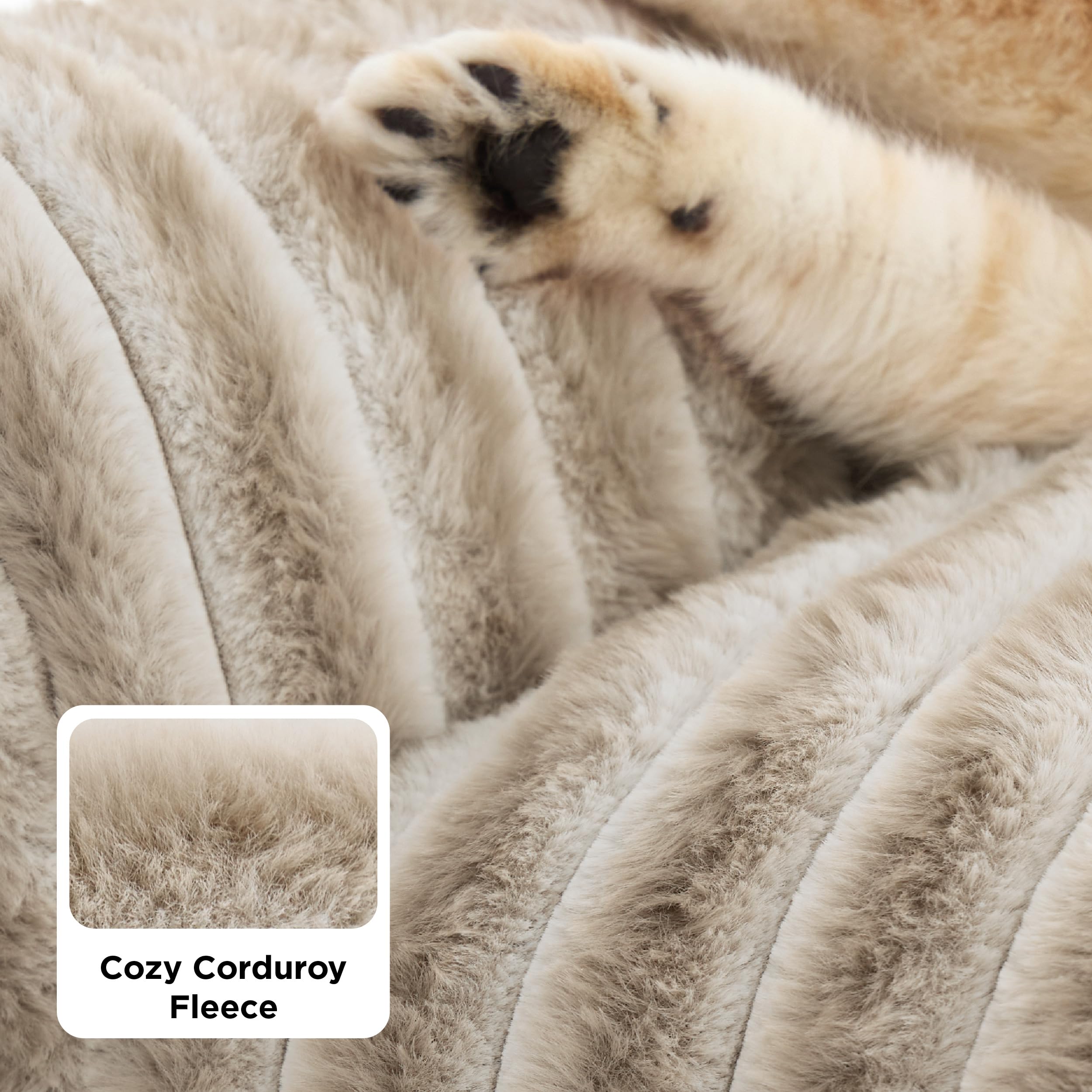 Fluffy Pet Couch Bed with Washable Cover