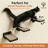Cat Wall Climbing Steps Set