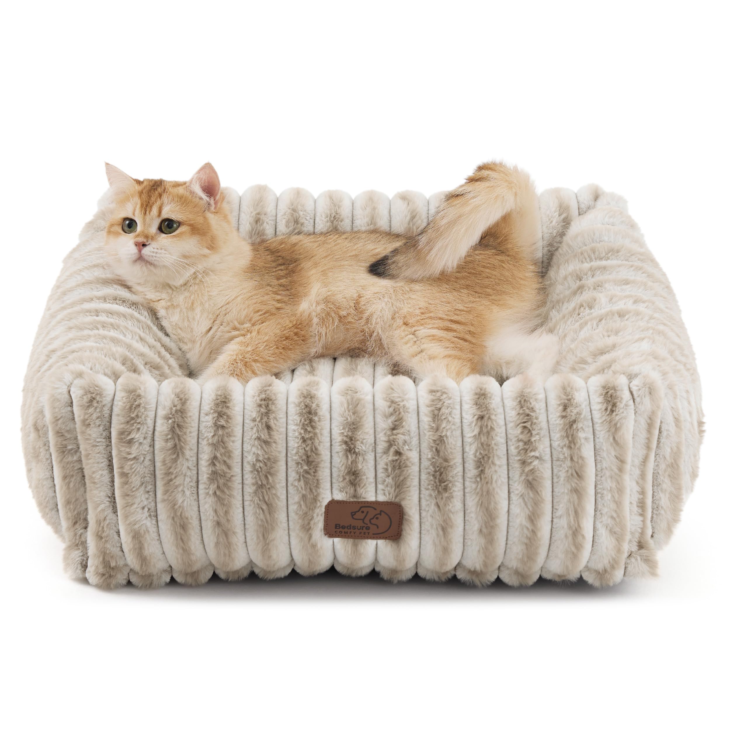 Orthopedic Washable Dog Bed for Medium Dogs