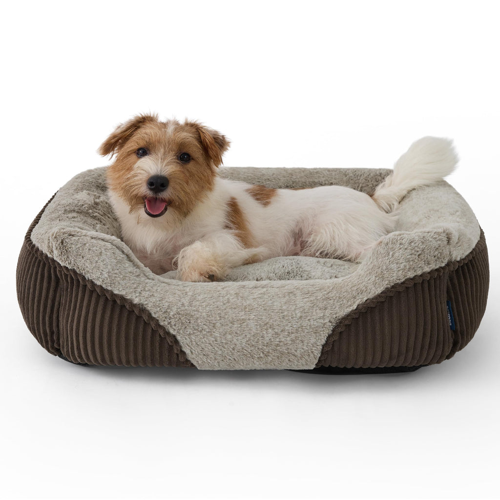 Orthopedic Plush Dog Bed for Small & Medium Dogs