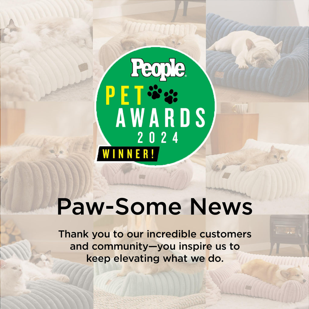 Fluffy Pet Couch Bed with Washable Cover