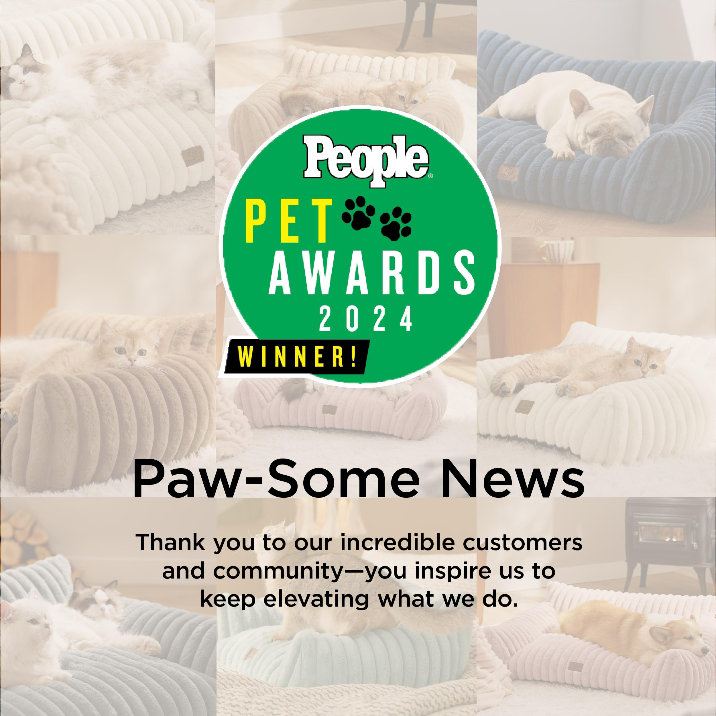 Fluffy Pet Couch Bed with Washable Cover