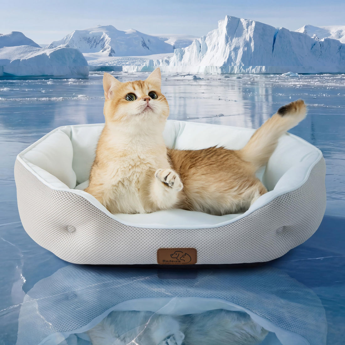 Round Washable Pet Bed for Small Dogs & Cats