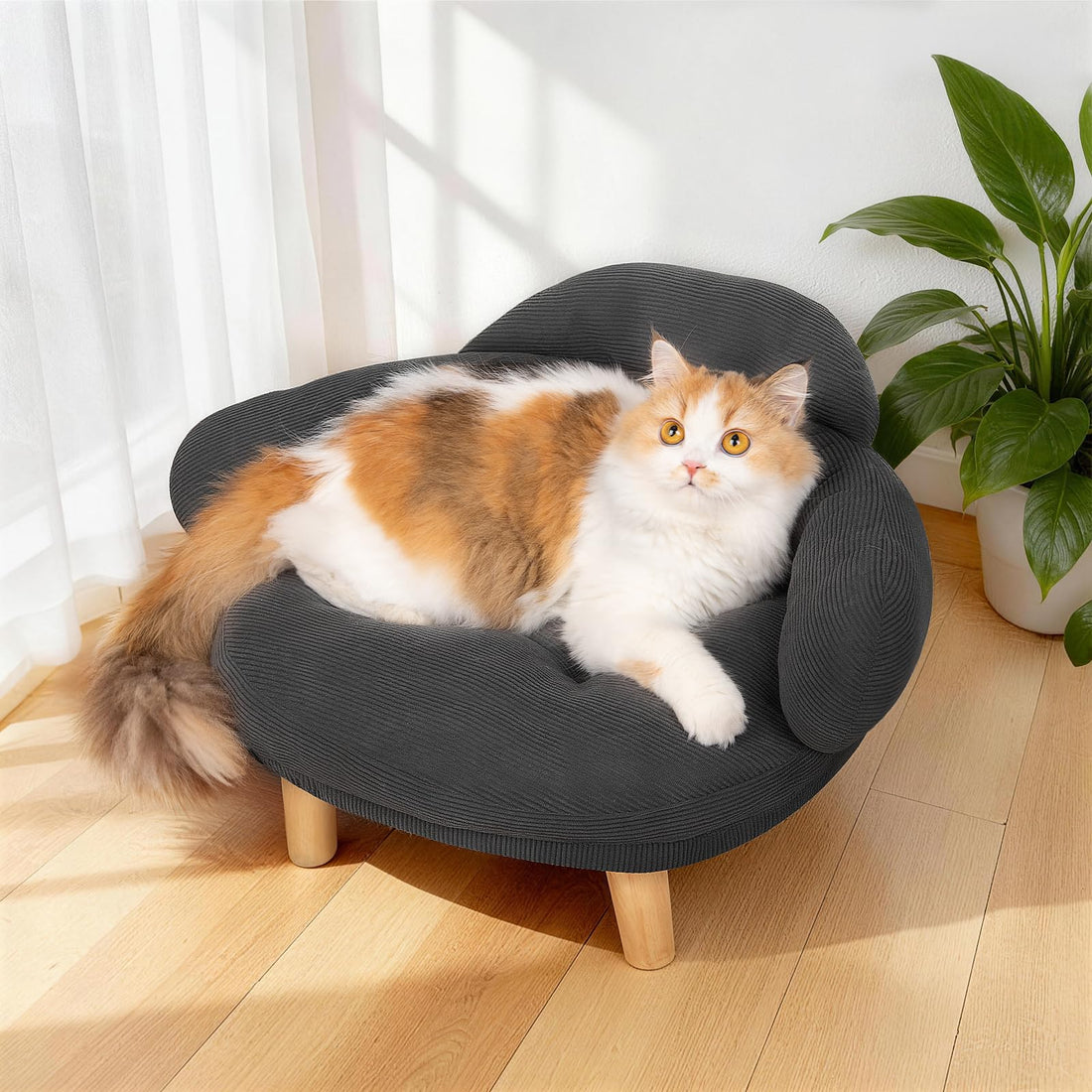 Furniture-Style Cat Sofa Bed with Washable Cover