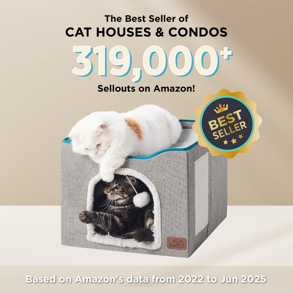Cat Cave House with Scratch Pad