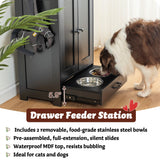 Pet Feeding Station with Storage Cabinet