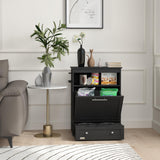 Raised Pet Feeding Station with Storage Cabinet