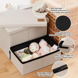 Foldable Pet Ramp with Storage