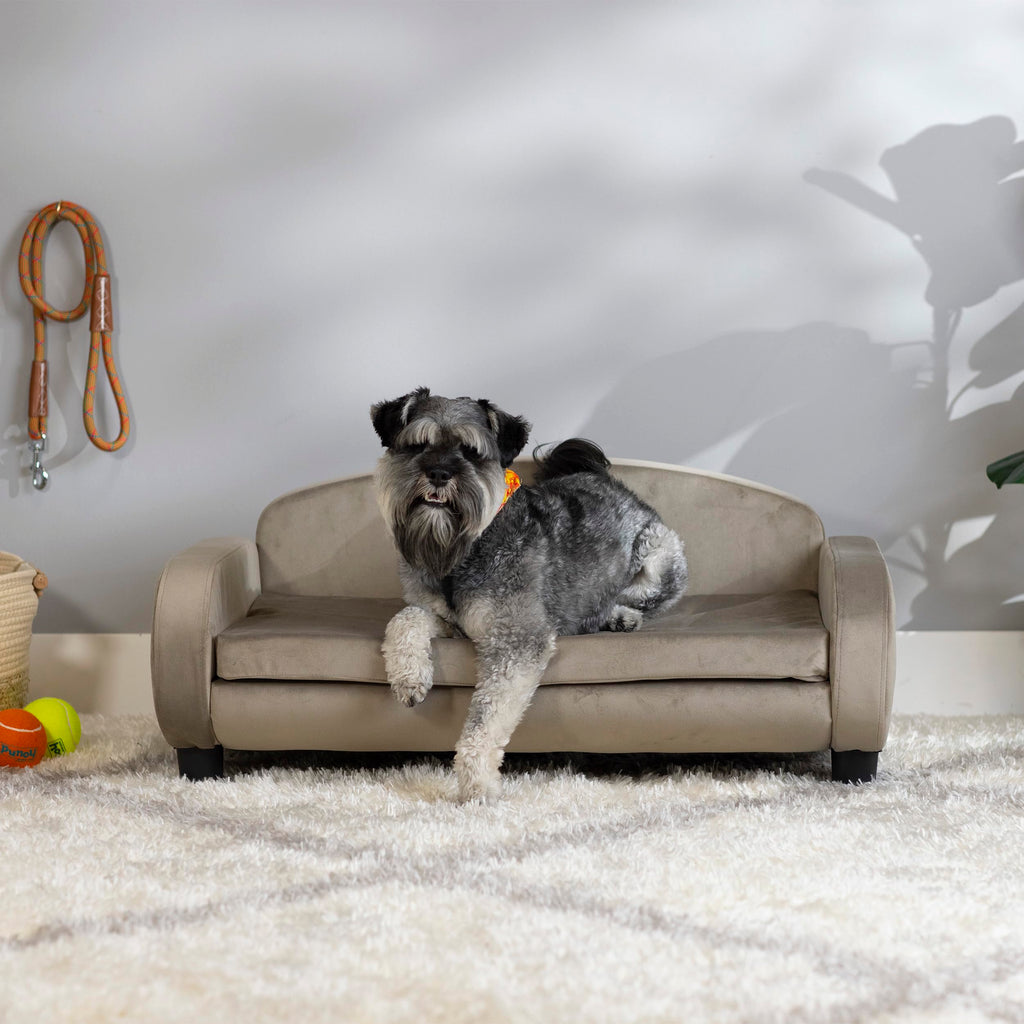 Paws & Purrs Modern Pet Sofa