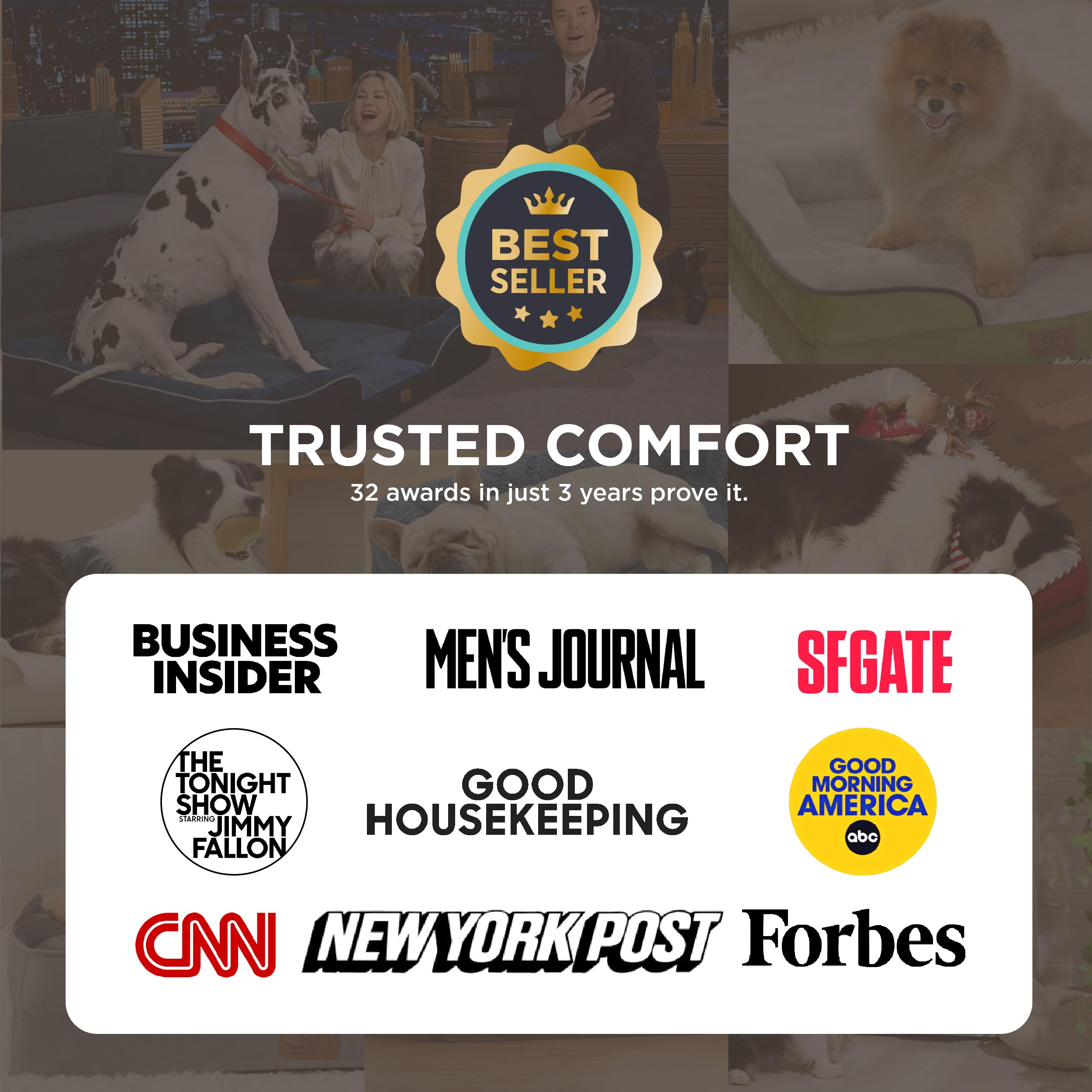 Orthopedic Bolster Dog Sofa Bed