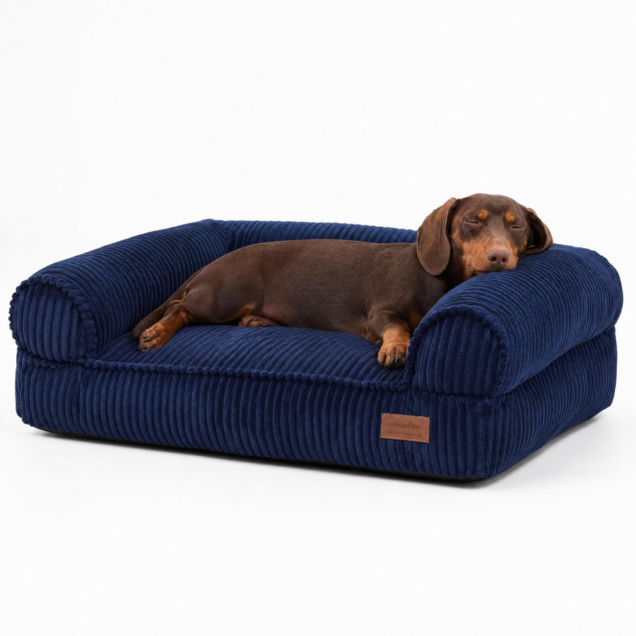 Orthopedic Pet Sofa Bed