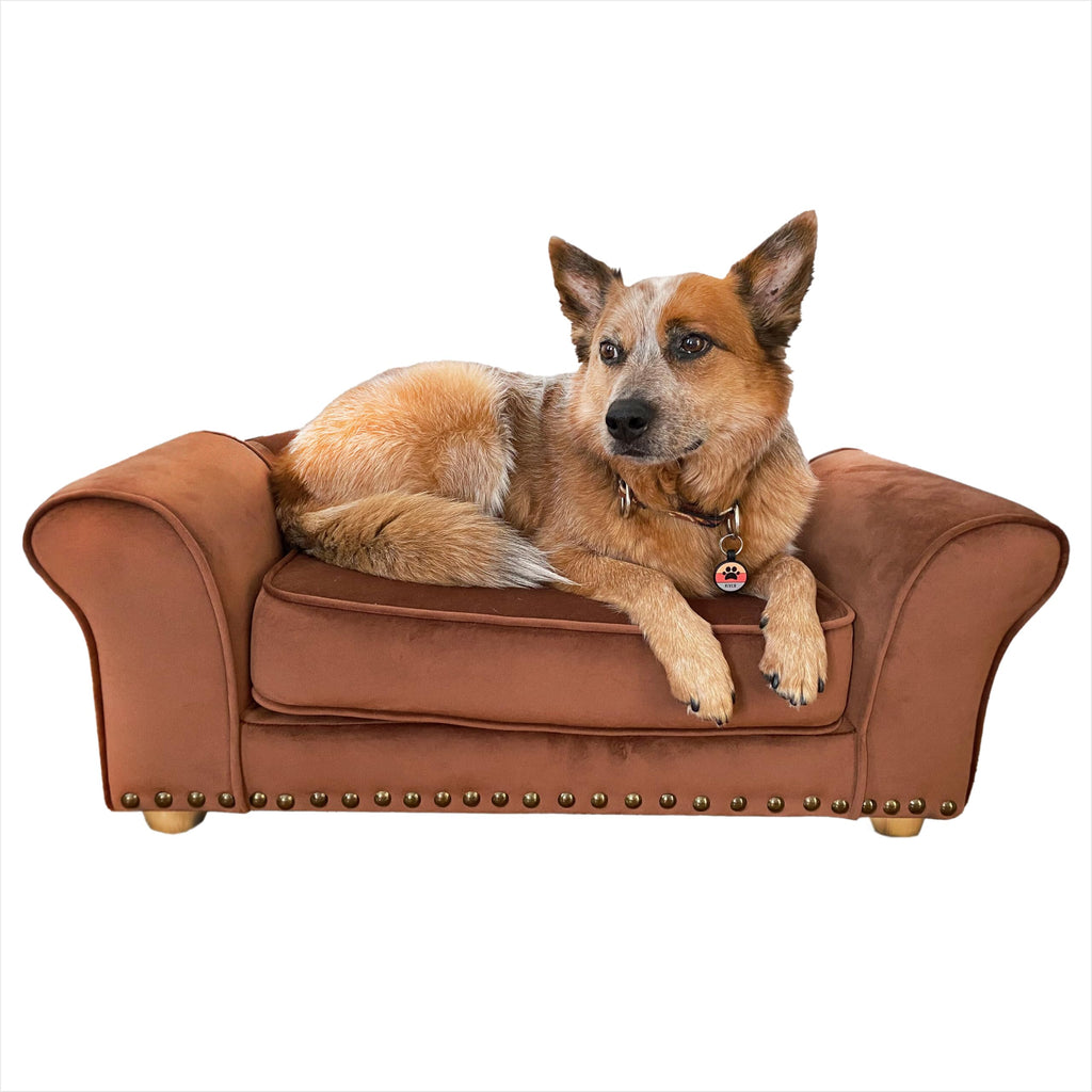 CRITTER SITTERS Pet Beds