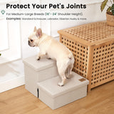 Foldable Pet Ramp with Storage