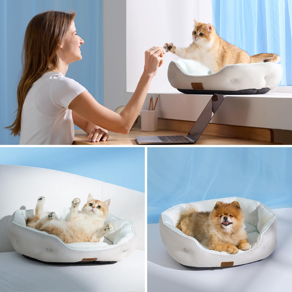Round Washable Pet Bed for Small Dogs & Cats