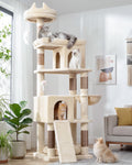 Heavy Duty Cat Tree for Large Cats