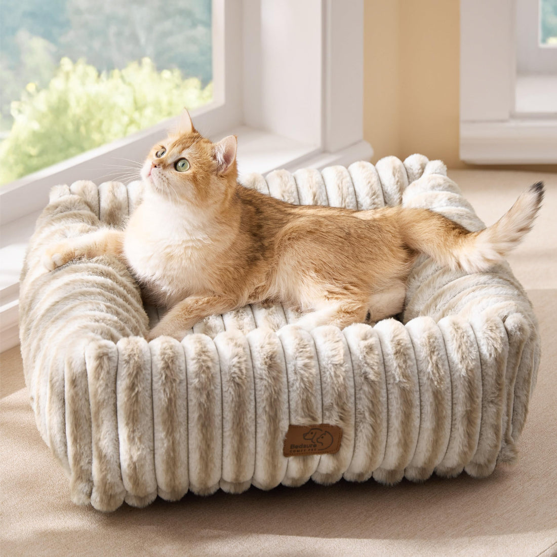 Orthopedic Washable Dog Bed for Medium Dogs