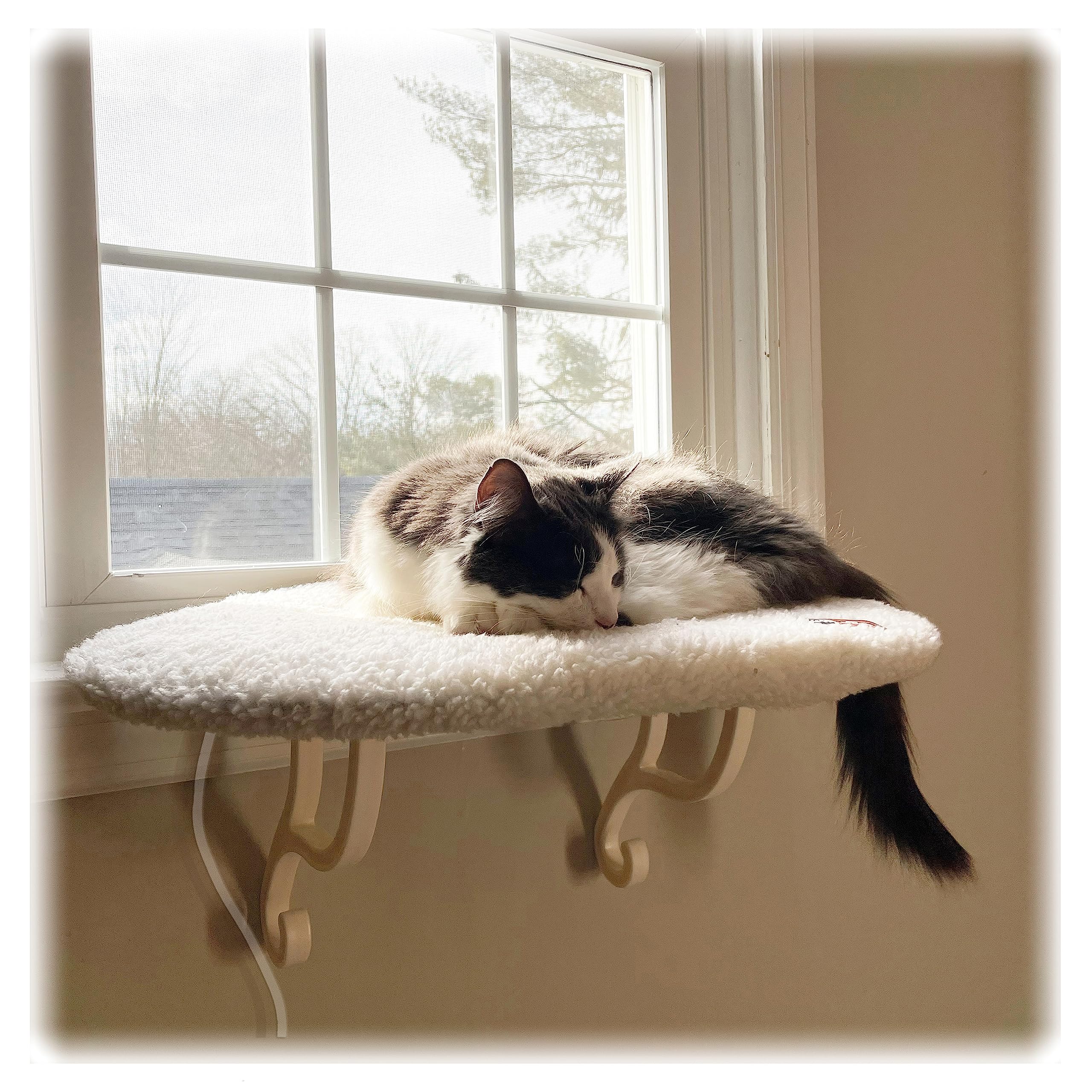 K&H Kitty Sill & Thermo-Kitty Sill