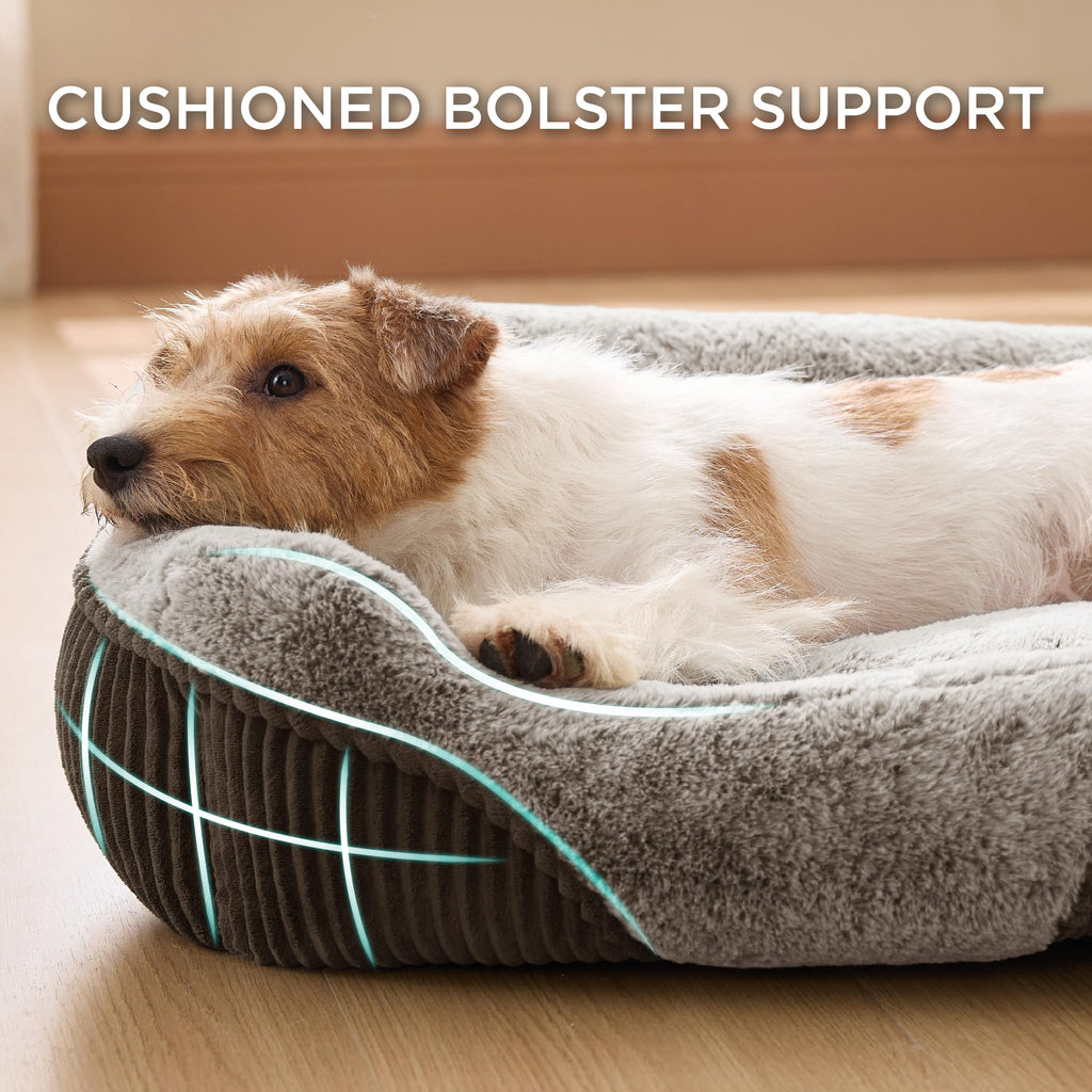 Orthopedic Plush Dog Bed for Small & Medium Dogs