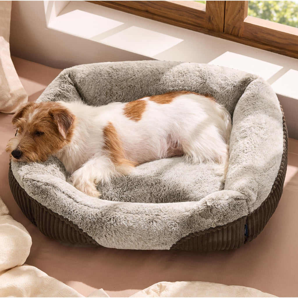 Orthopedic Plush Dog Bed for Small & Medium Dogs