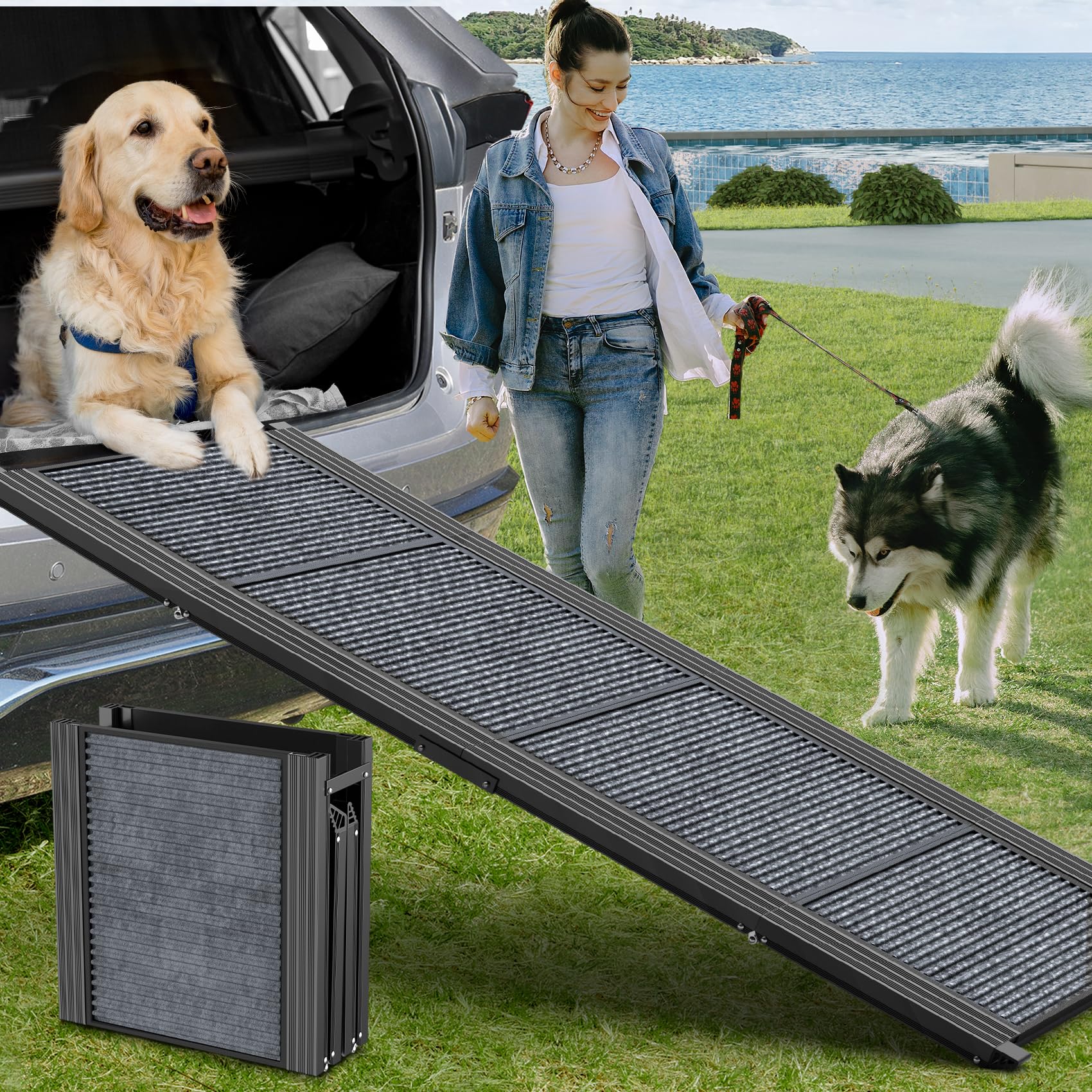 HerCcreta wigge Dog Ramp for Car