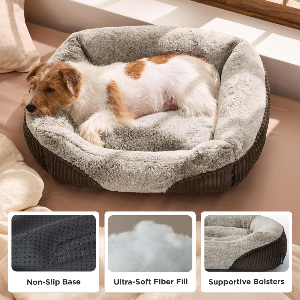 Orthopedic Plush Dog Bed for Small & Medium Dogs