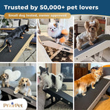 Foldable Wooden Pet Ramp & Stairs